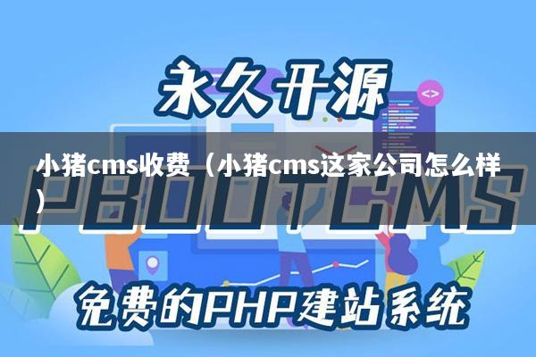 小猪cms收费（小猪cms这家公司怎么样）