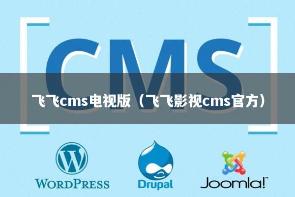 飞飞cms电视版（飞飞影视cms官方）