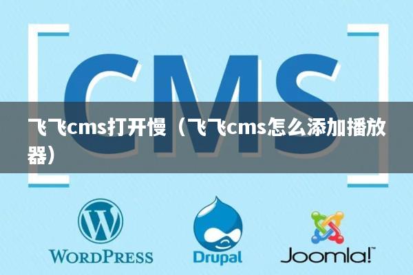 飞飞cms打开慢（飞飞cms怎么添加播放器）