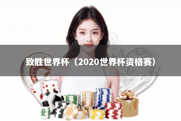 致胜世界杯（2020世界杯资格赛）