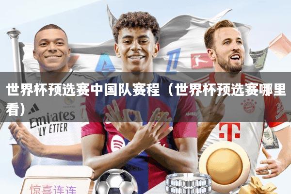 世界杯预选赛中国队赛程（世界杯预选赛哪里看）