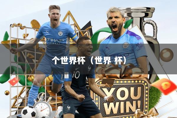 个世界杯（世界 杯）