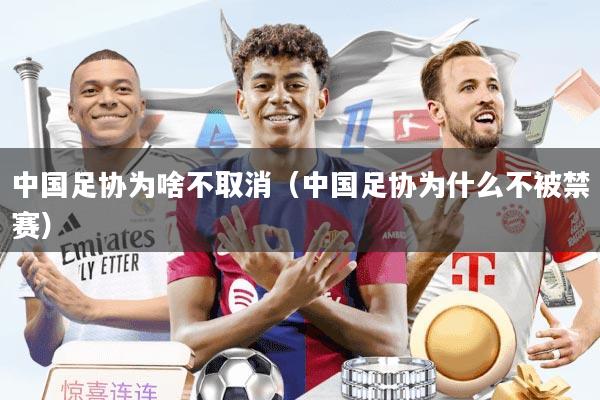 中国足协为啥不取消（中国足协为什么不被禁赛）