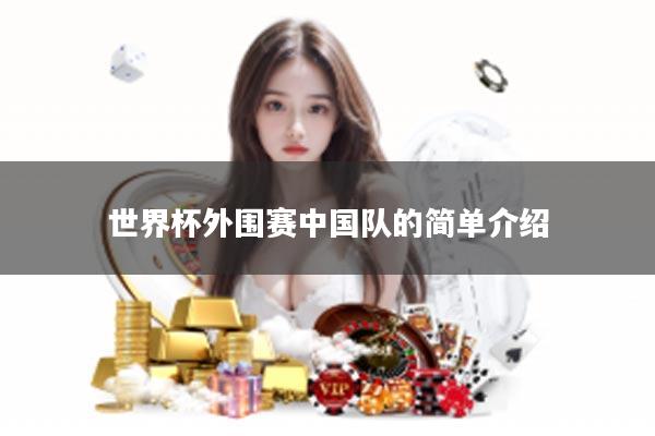 世界杯外围赛中国队的简单介绍