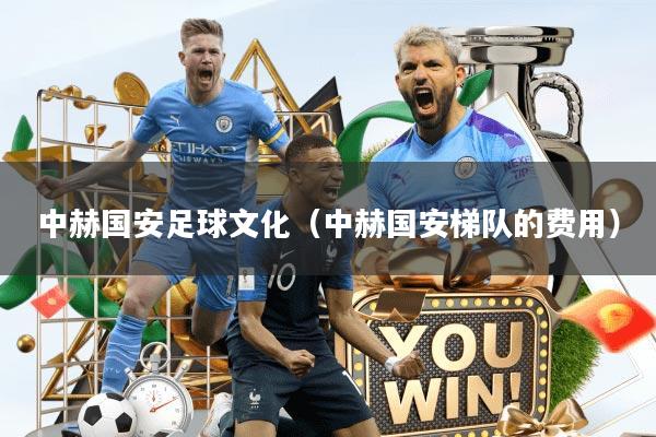 中赫国安足球文化（中赫国安梯队的费用）