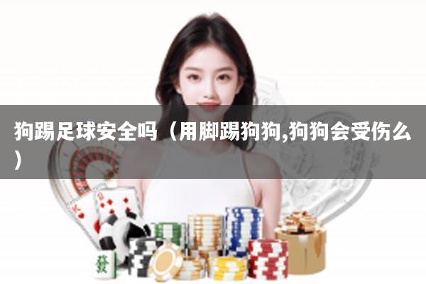 狗踢足球安全吗（用脚踢狗狗,狗狗会受伤么）
