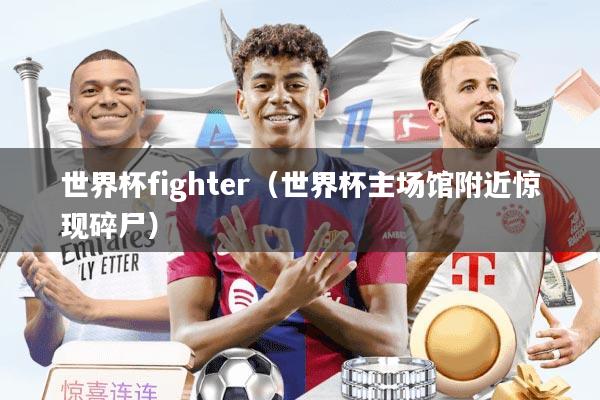 世界杯fighter（世界杯主场馆附近惊现碎尸）