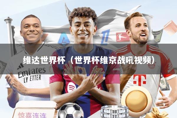 维达世界杯（世界杯维京战吼视频）