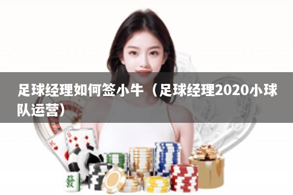 足球经理如何签小牛（足球经理2020小球队运营）
