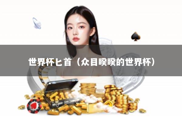 世界杯匕首（众目睽睽的世界杯）