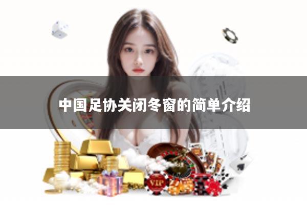 中国足协关闭冬窗的简单介绍
